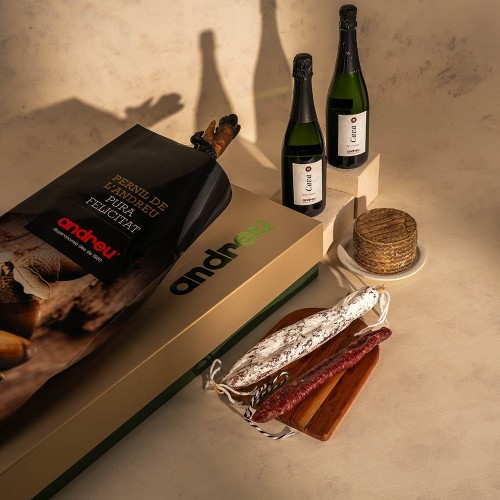 Lote con paletilla 100% ibérica, embutidos y quesos | Jamones Andreu