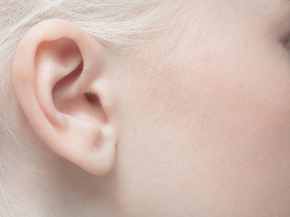 Alimentos y hábitos para mejorar la audición