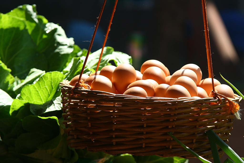 Guía del huevo: características, propiedades y recetas